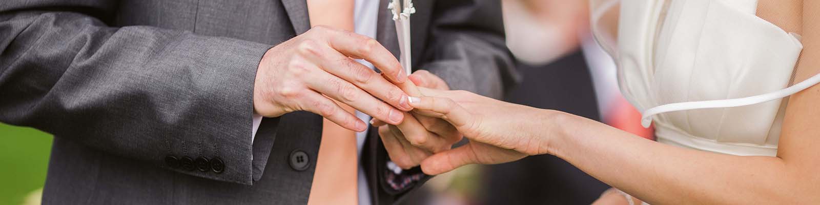 Wedding Bands, Wedding Rings Banner