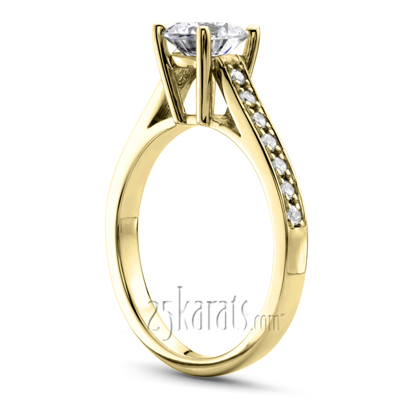 14K white gold Pave Set In Channel Diamond Engagement Ring (1/5 ct. tw.) - alternate view 4