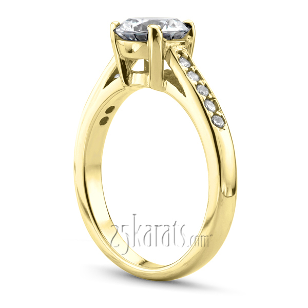 14K white gold Classic Pave Set Cathedral Diamond Engagement Ring - alternate view 4