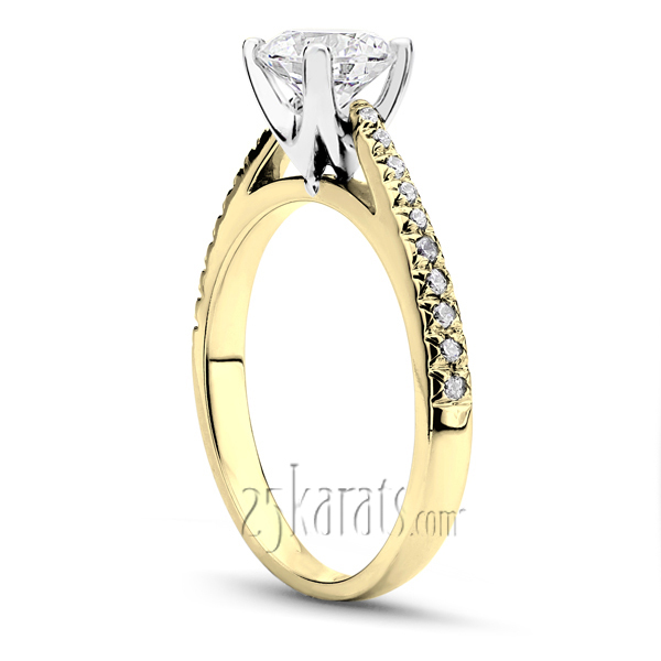 14K white gold Classic Pave Set Cathedral Diamond Engagement Ring (0.17 ct. tw.) - alternate view 3